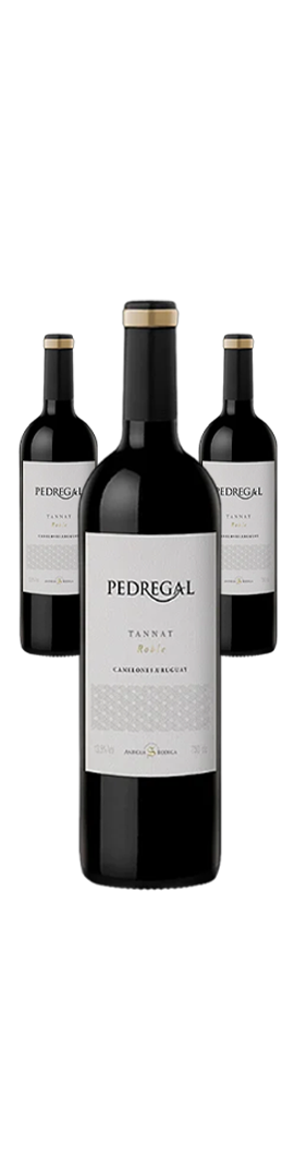 Pedregal Tannat Roble Tinto 3 gfs